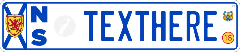 Illustration for article titled The Euro Plate Project - One Year Later